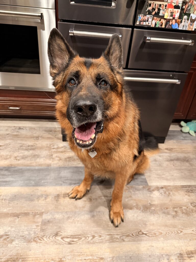 Cheese!
