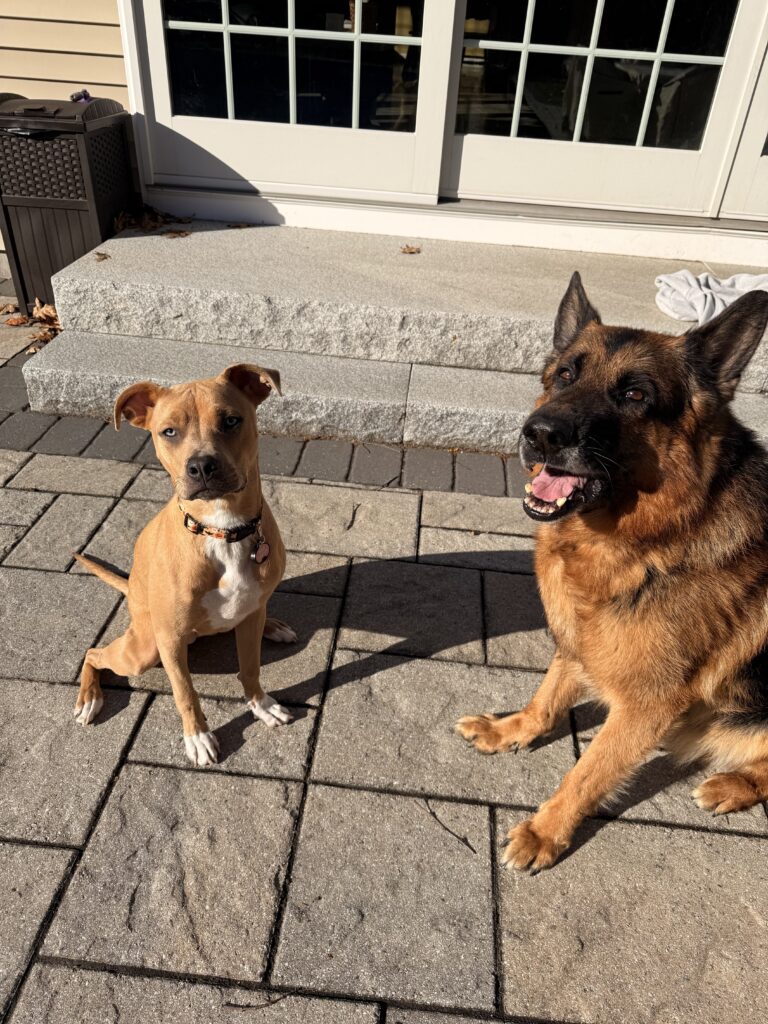 Beautiful Day For Max