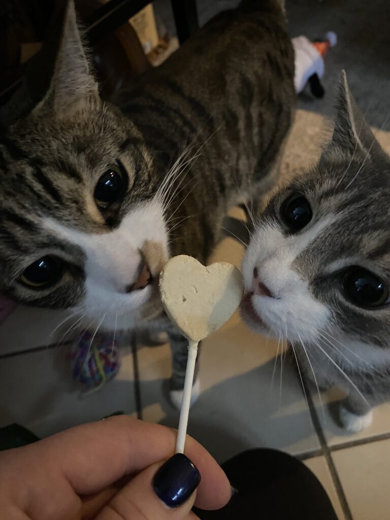 Up Close And Puurrrsonal
