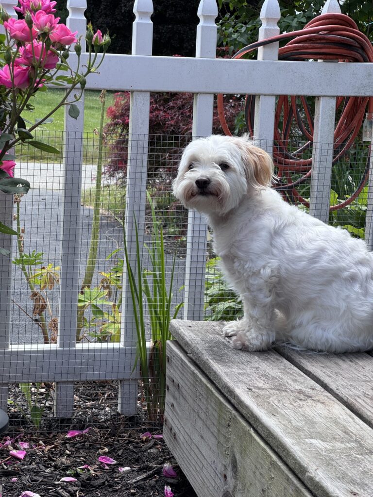 Can We Be Friends?