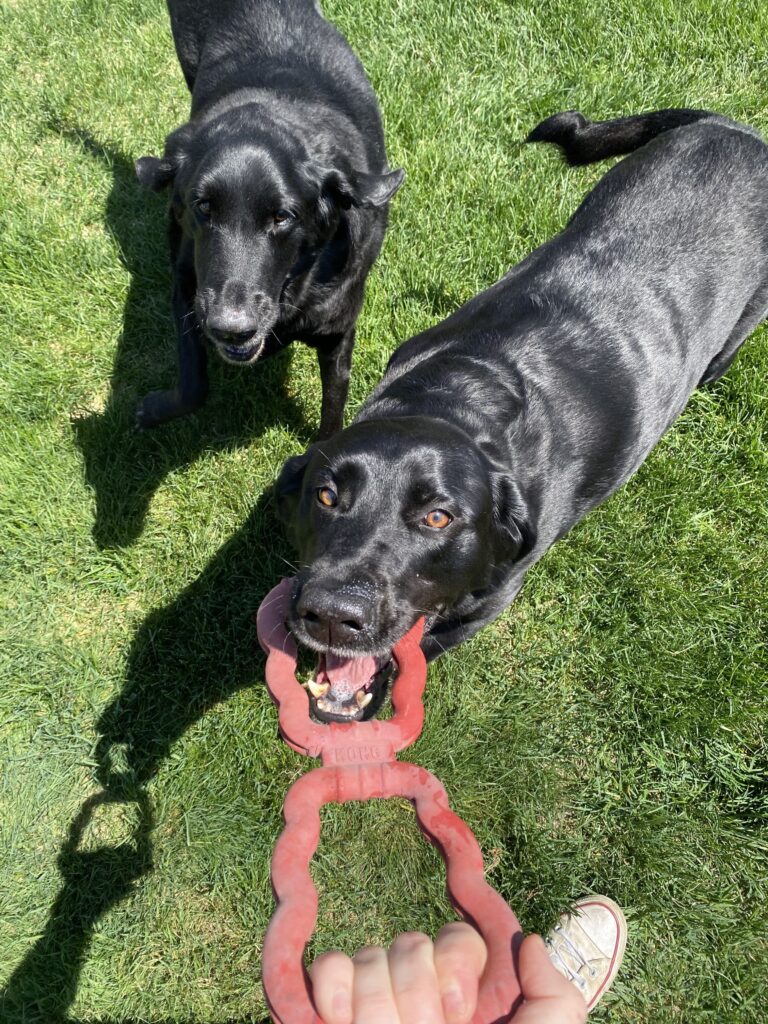 Boys Of Summmer
