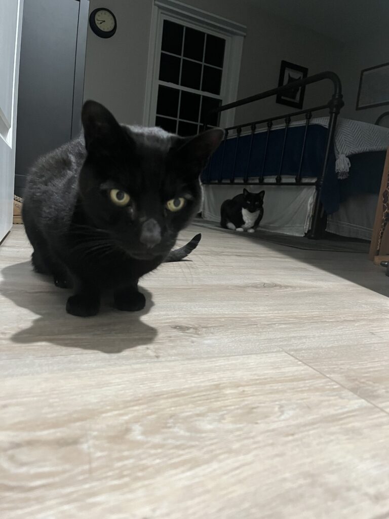 All eyes on me