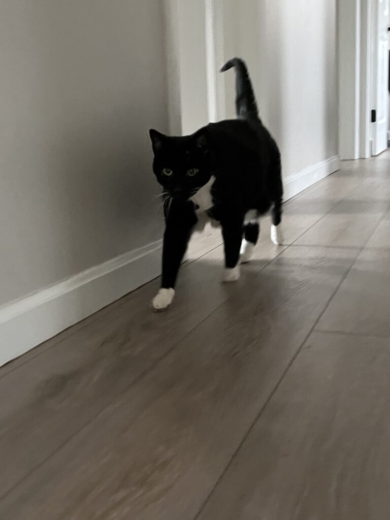 Rocky warms up