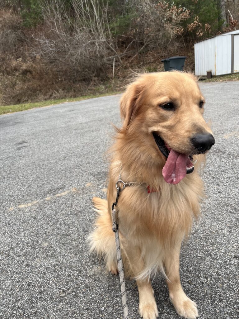 All manners with Maxwell !