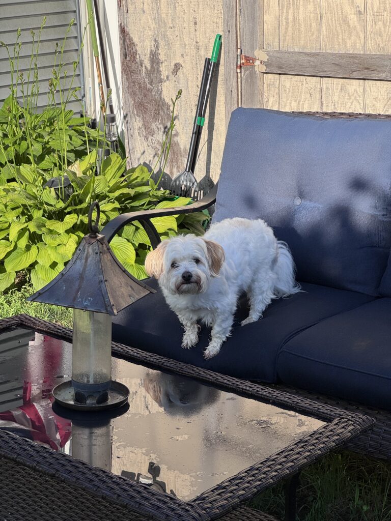 It’s Gonna Be A Hot One! 🥵
