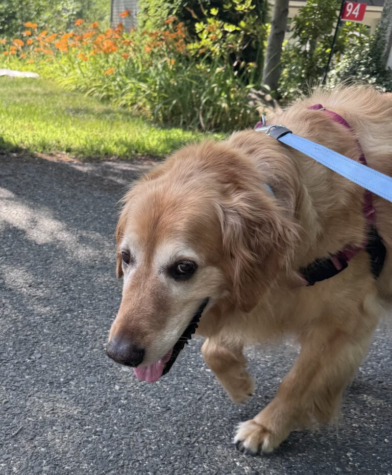 We’re Having A Heat Wave! 🥵🌞