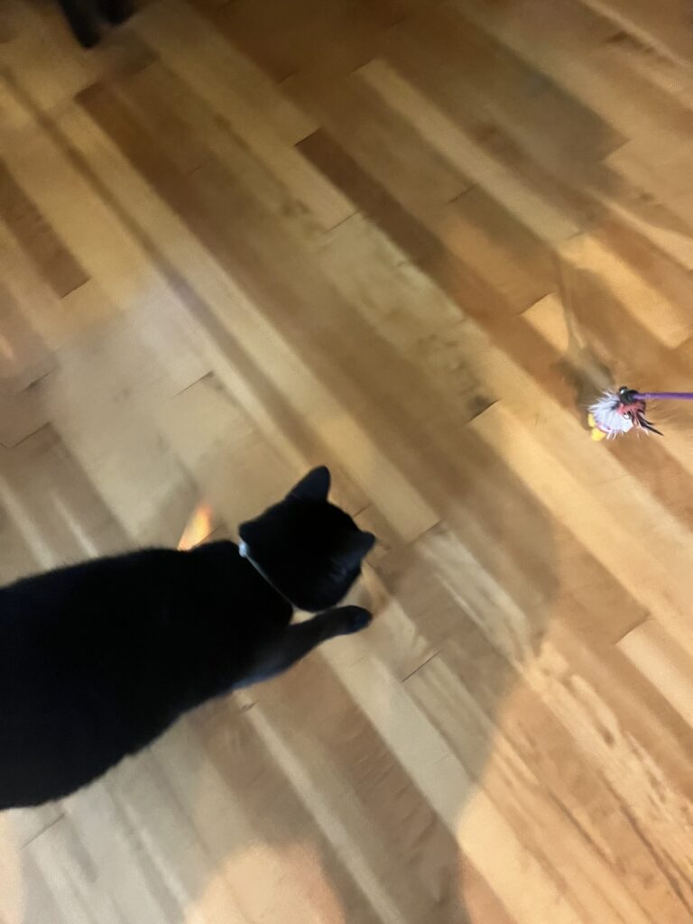 Play time !