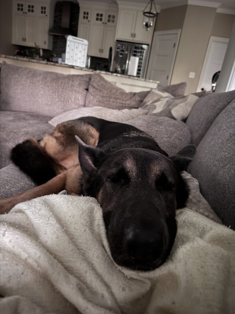 Lazy Sunday Morning