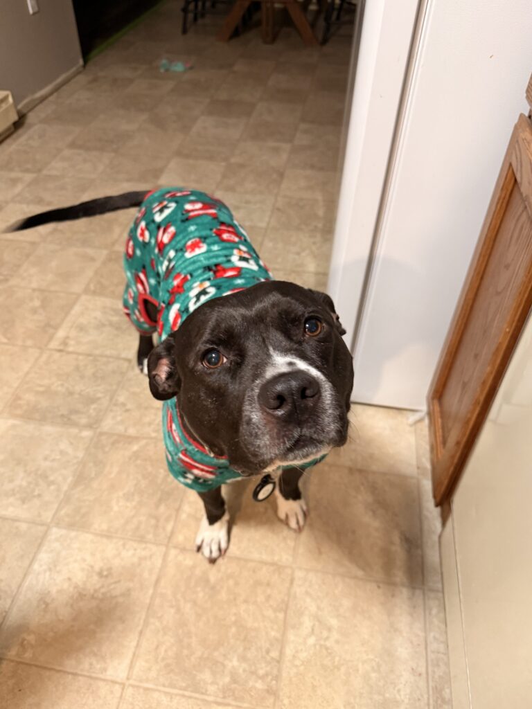Xmas Pjs