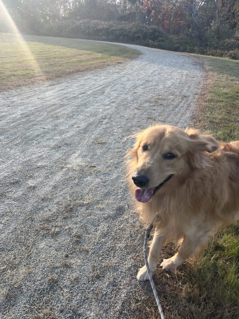 Mr. Sunshine ☀️