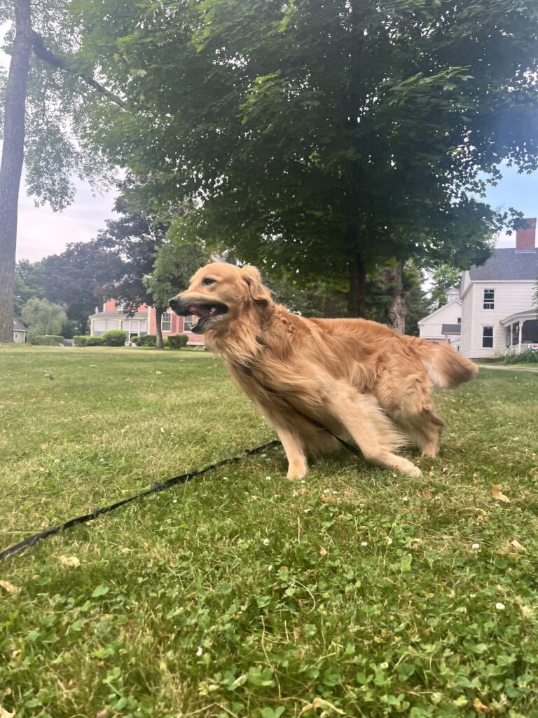 FriYay Fun !
