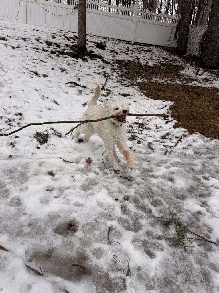 Sticks Or Weapons