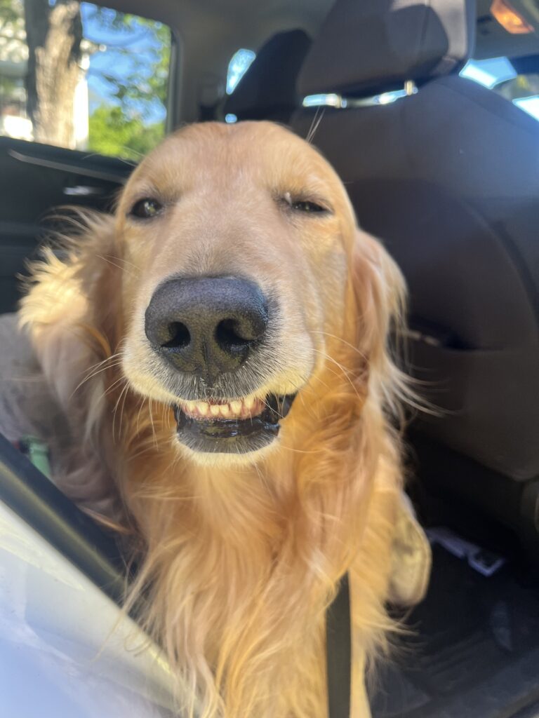 Bringing His Ray Of Sunshine !