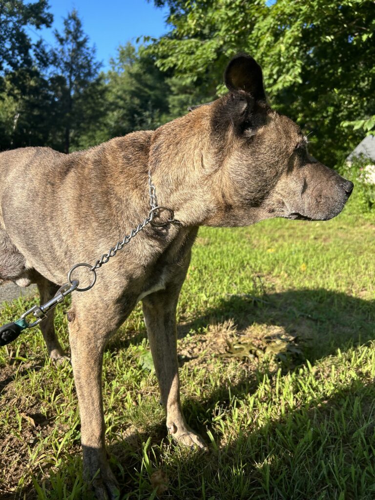 Buster brings the sun around