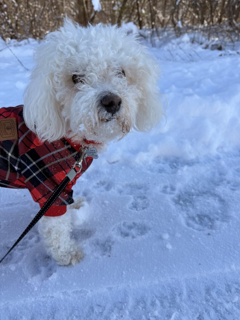 Snowflake