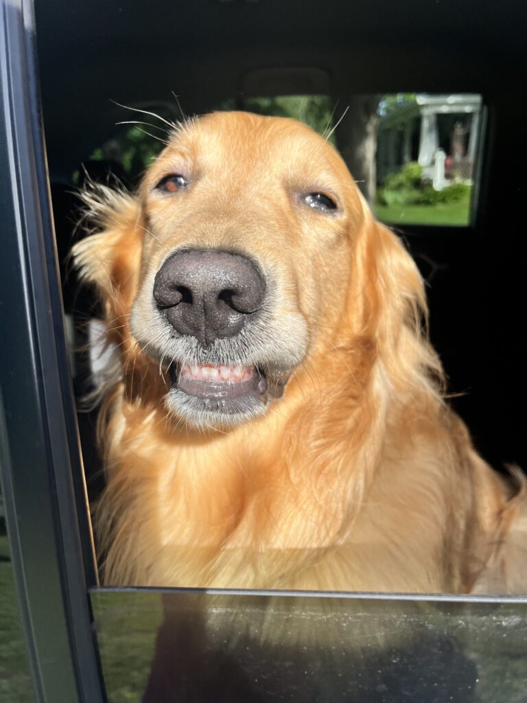 FriYay = Zoomies !