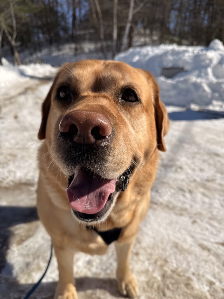 Charlie The Explorer