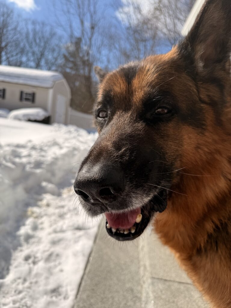 MAXXX