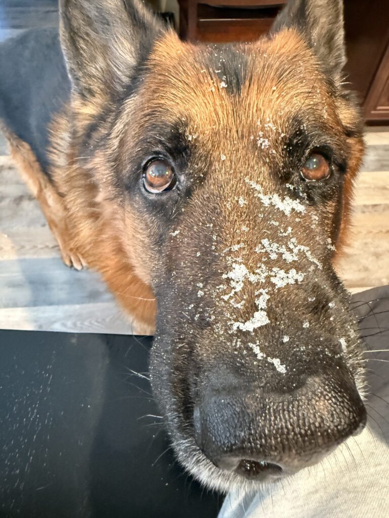 Snow Face