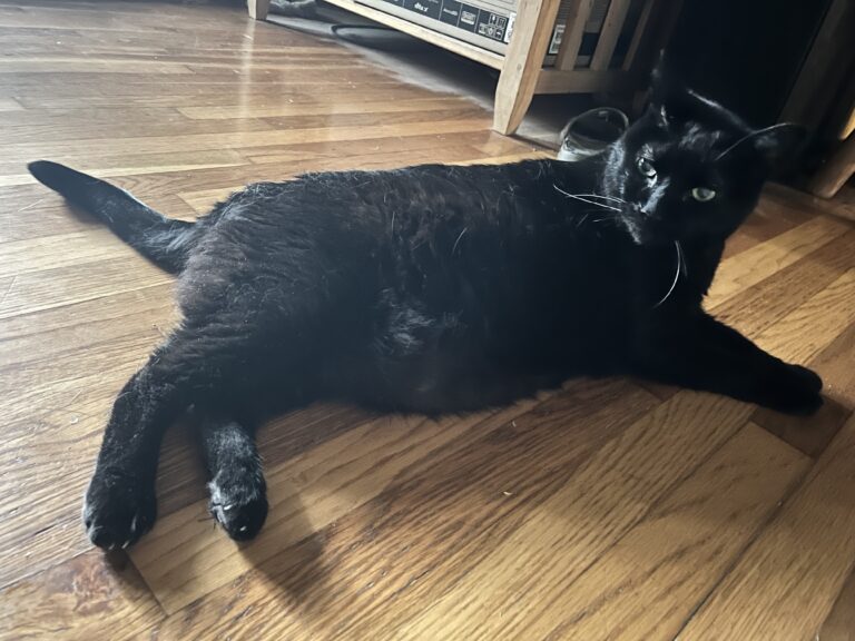Kitty Cash Spreading His Love