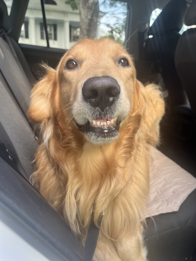 Smiles To Start The Weekend !