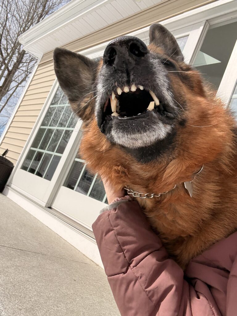 Cheeseeee