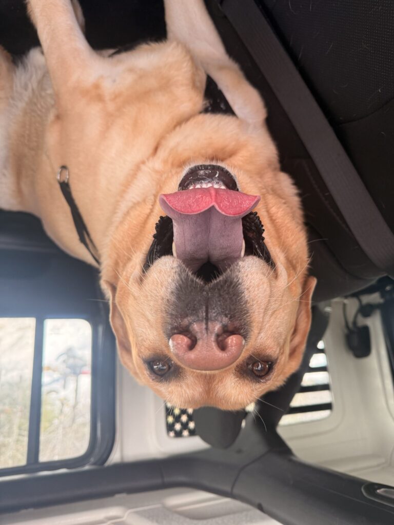 Big Smiles