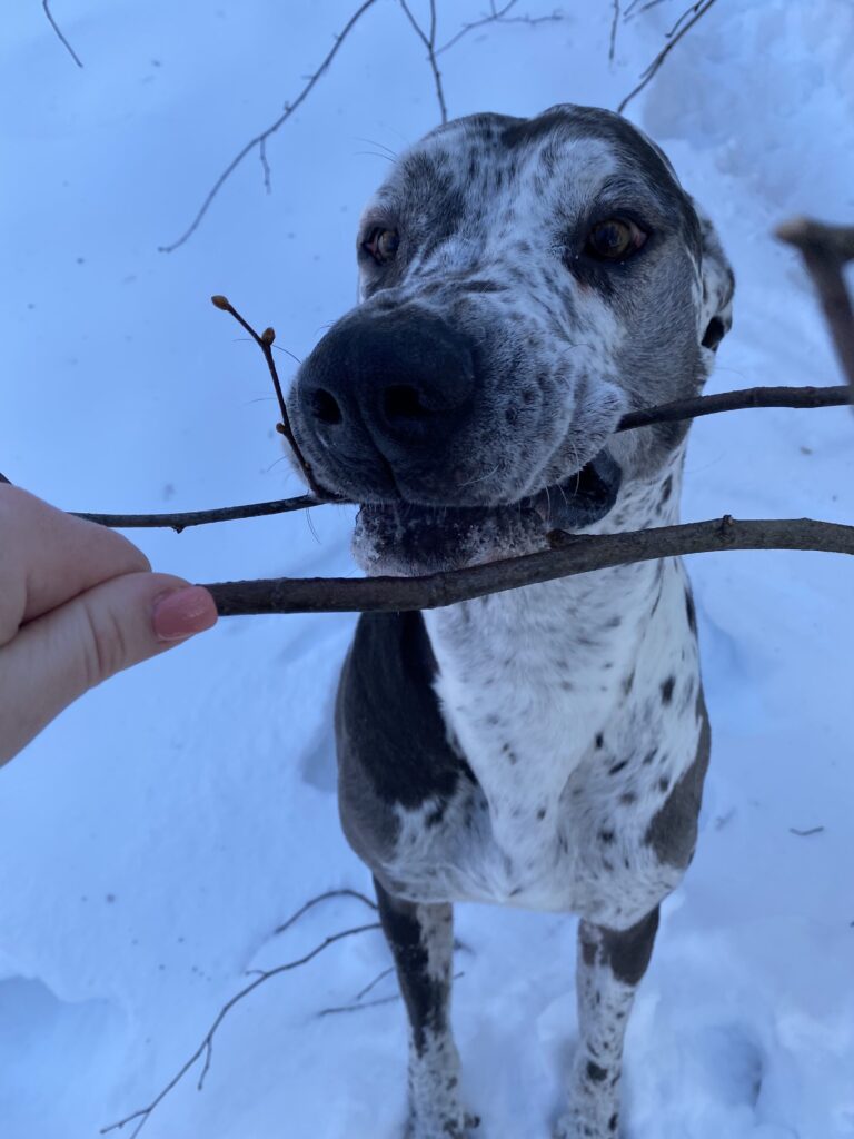 Backyard Party Time 🥳