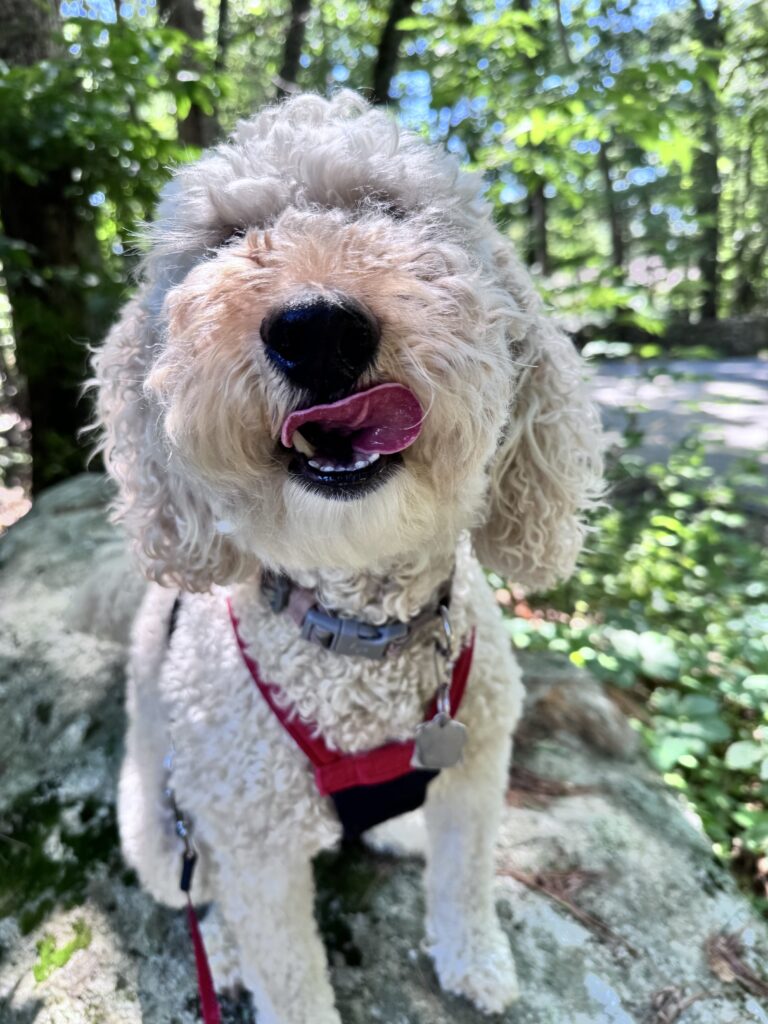 A Proper Girl’s Day Out