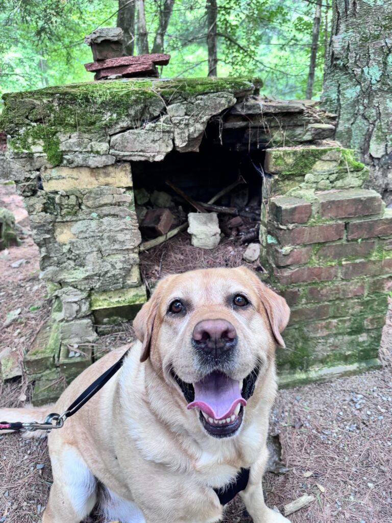Boot Camp For Charlie