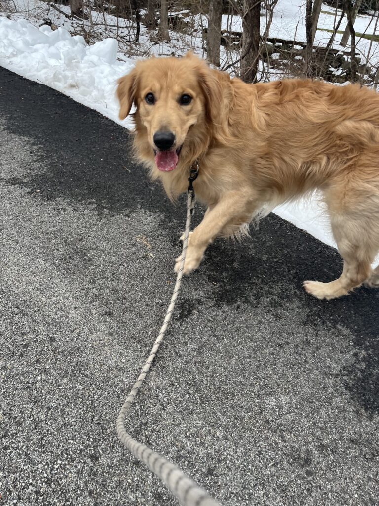 Snow is made for shoveling