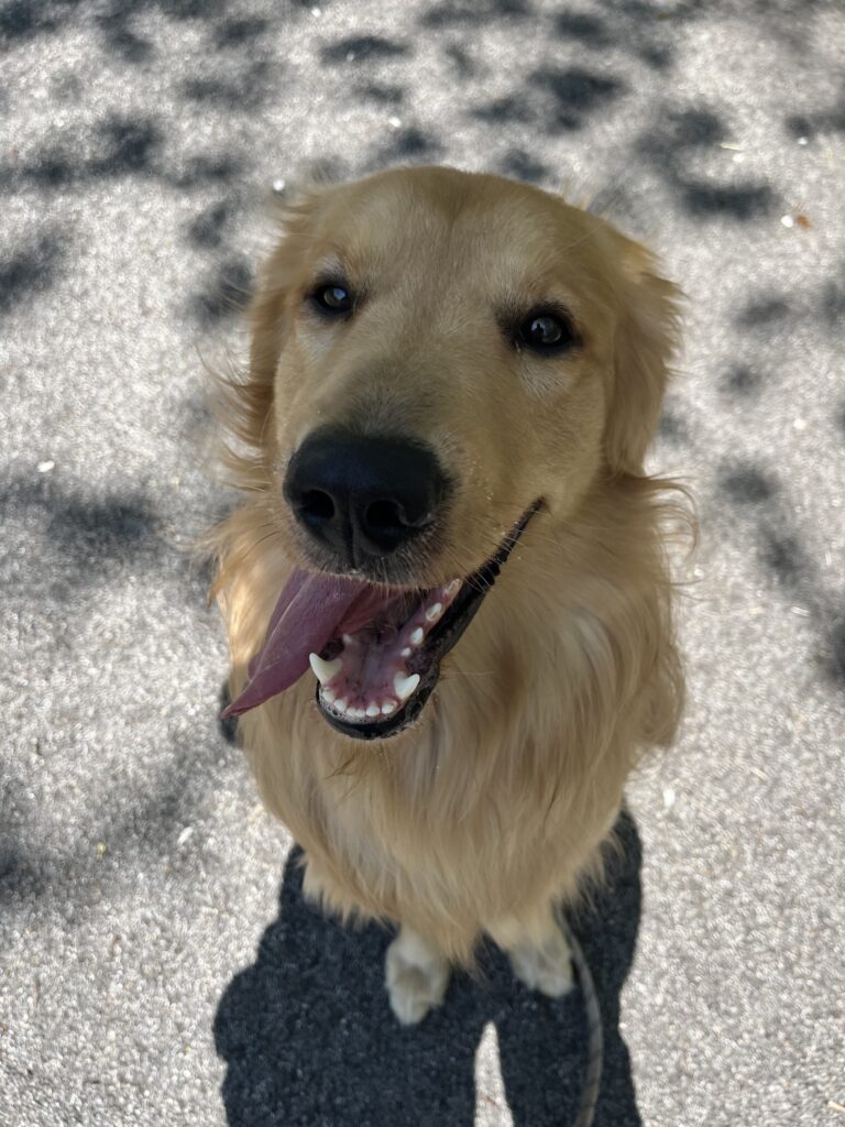 Great first walk and ride !!