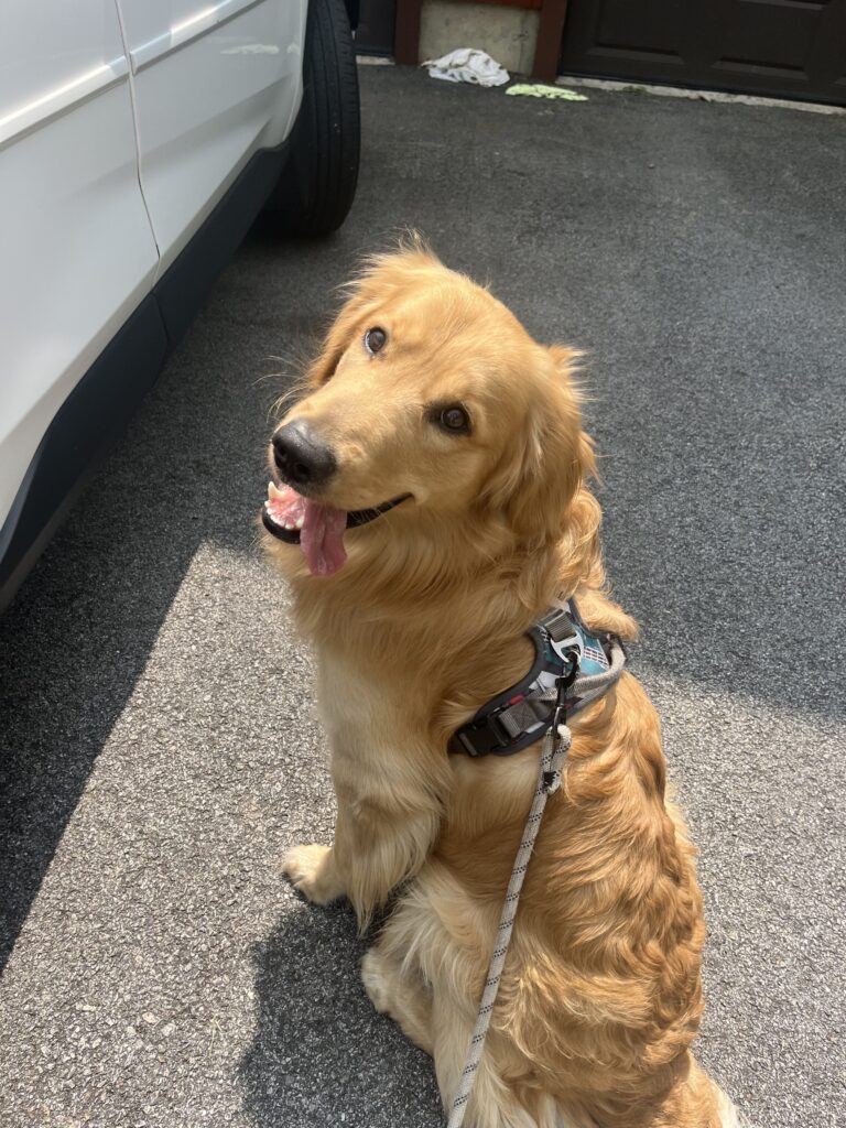 First grooming appointment !