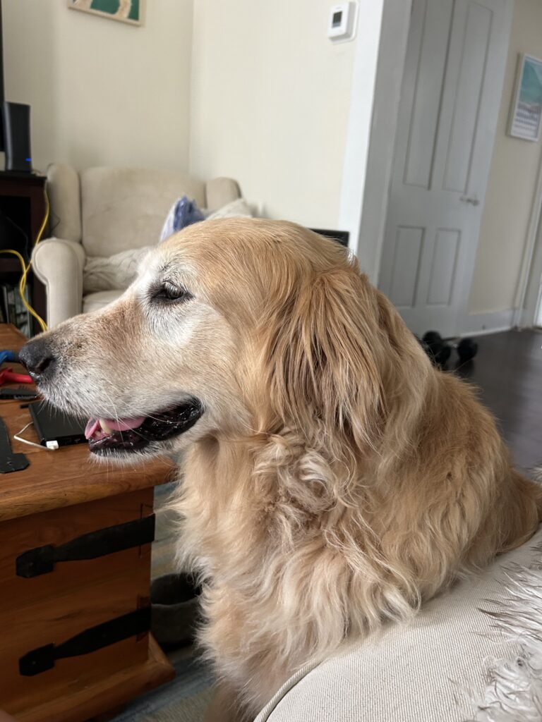 Miss Maisy