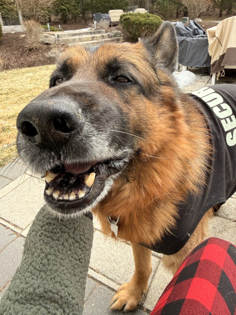 Sunday Face