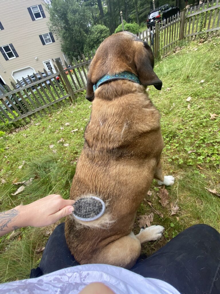 Much Needed R & R 🧘‍♀️🧘‍♂️