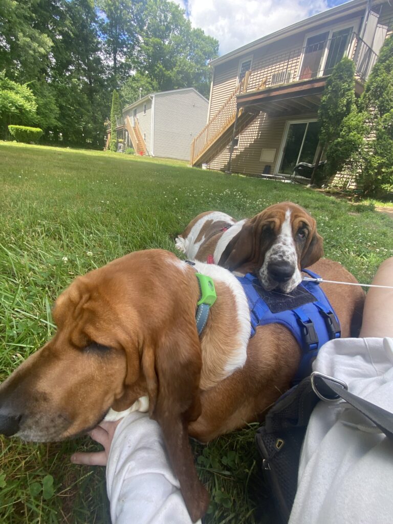 Snuggle Fest 🥰🤗🫂