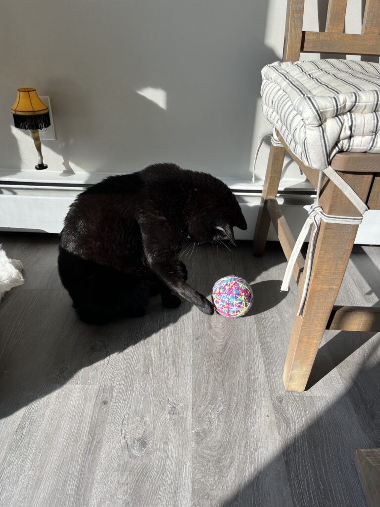 Purrfect visit!