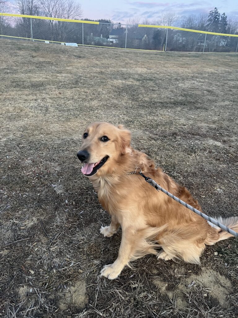The Wind Beneath His Ears