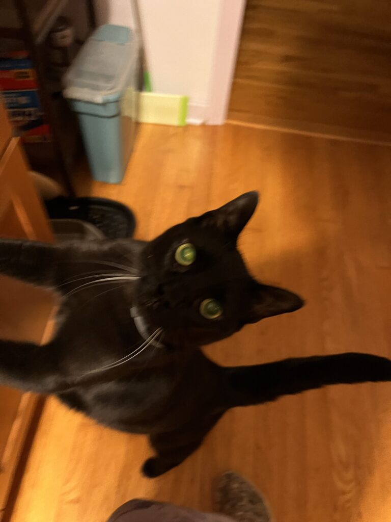 Mr. Social