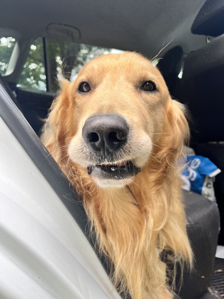 Reporting For Duty