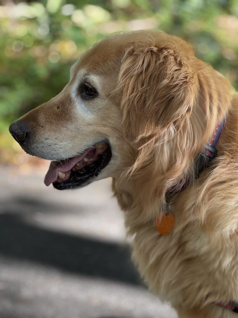 Stopping To Smell The Flowers 🌺