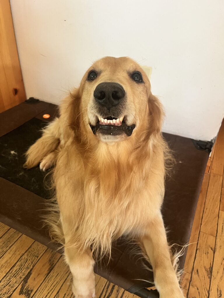 A Rolling Good Time !