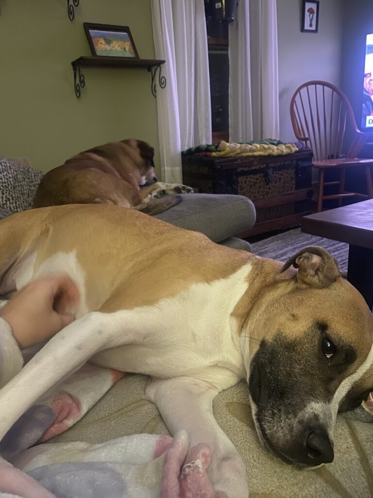 Snuggle Fest 🤗