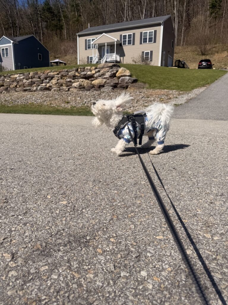 In His Own World