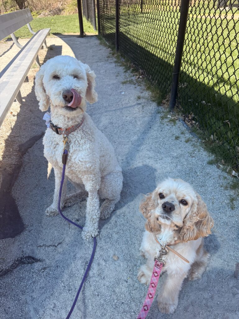 Girls Being Girls