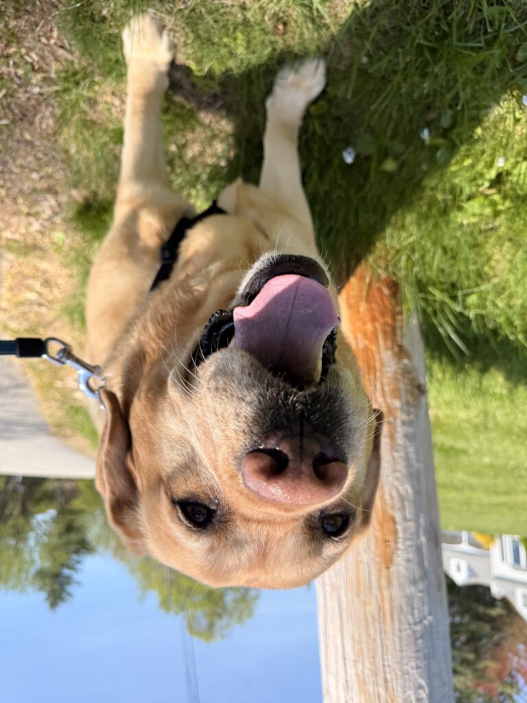 Handsome Man