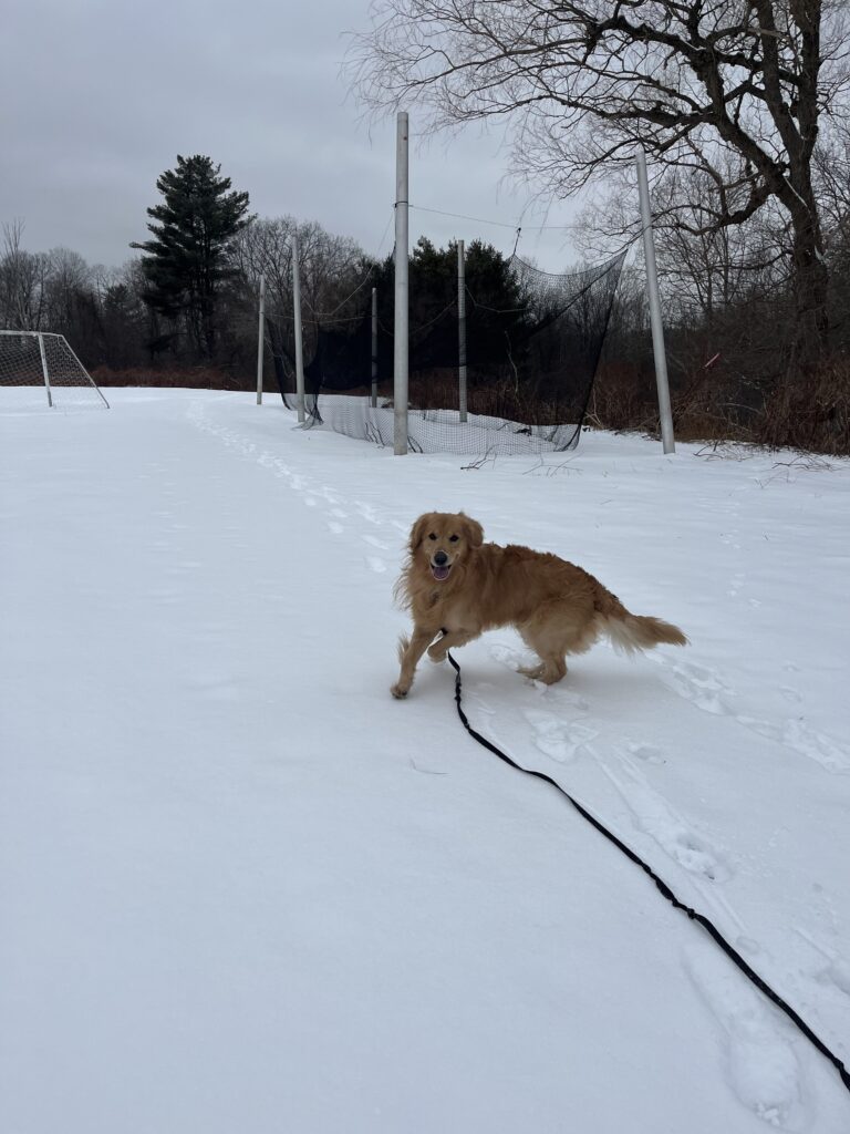 Maxwell Taking The Lead !
