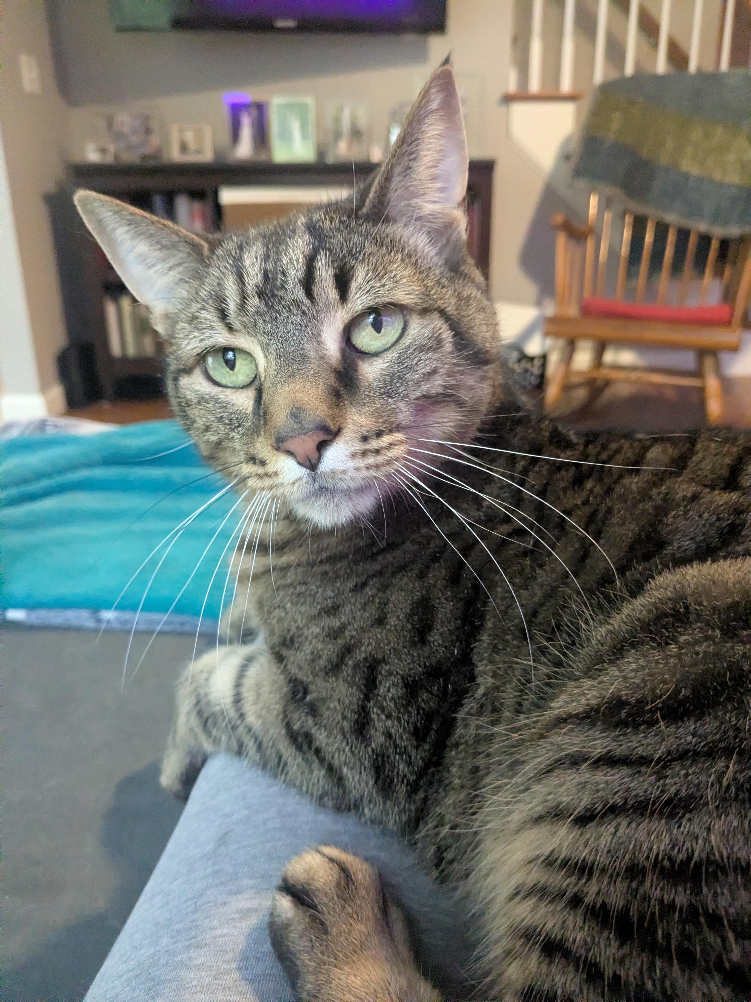 Laptime!