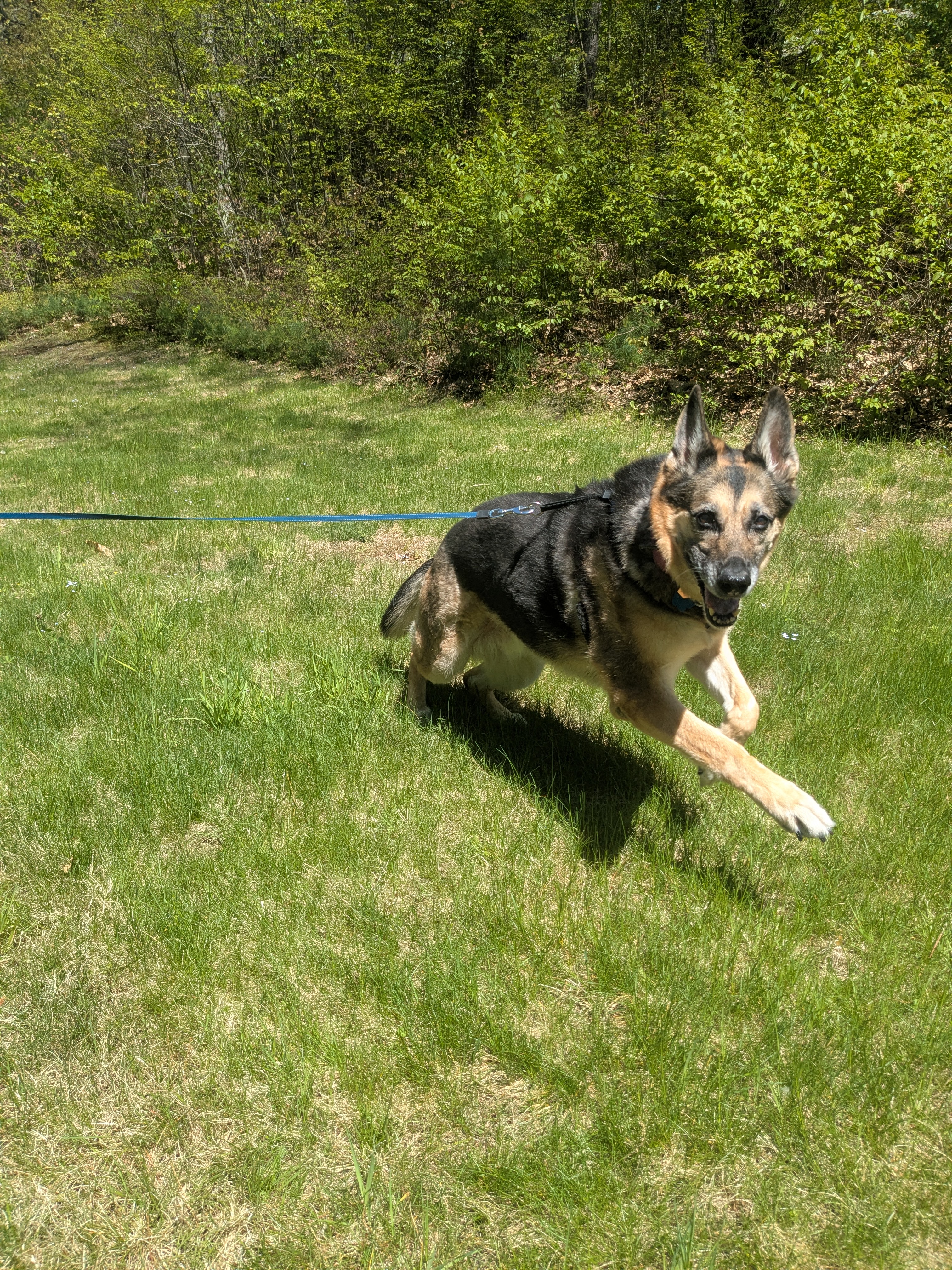 Saturday With Nova!